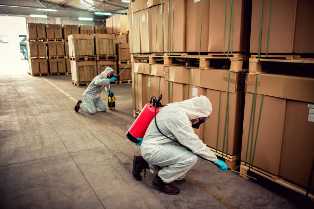 Best Affordable Pest Control Services  in Forest Glen, MD