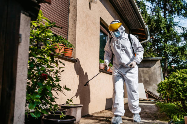Best Best Pest Control Near Me  in Forest Glen, MD