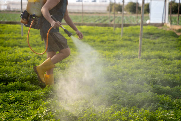 Best Affordable Pest Control Services  in Forest Glen, MD