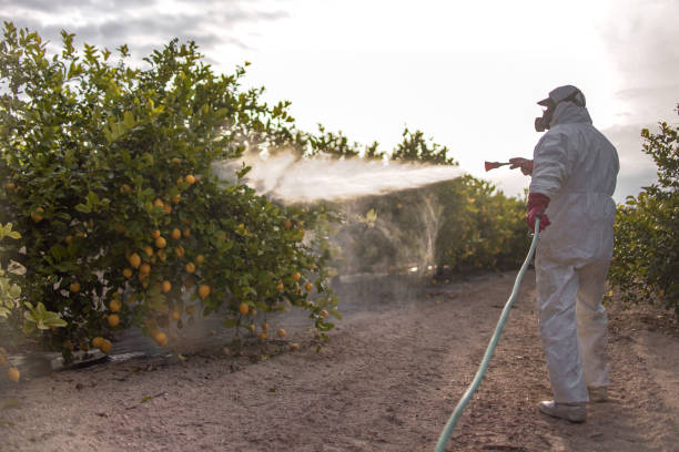 Best Pest Removal Services  in Forest Glen, MD