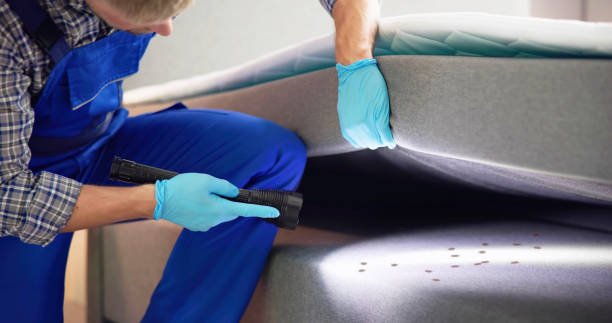 Best Local Pest Control Services  in Forest Glen, MD