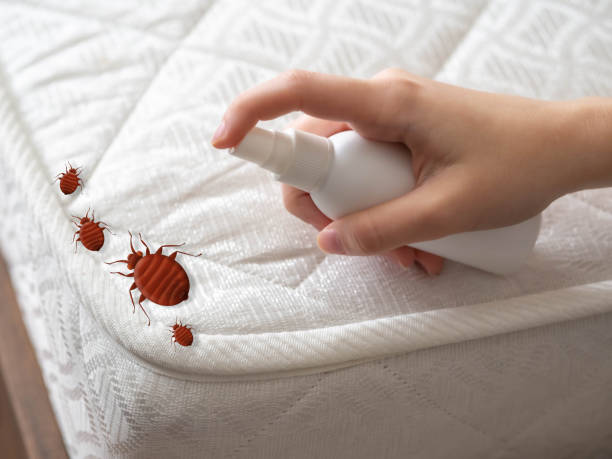 Best Best Pest Control Companies  in Forest Glen, MD