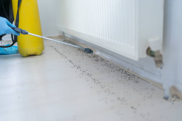 Best Bed Bug Extermination  in Forest Glen, MD