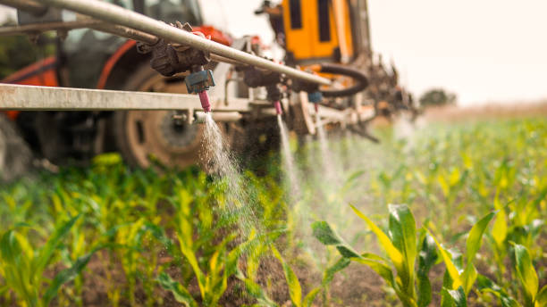 Best Mosquito Control Services  in Forest Glen, MD